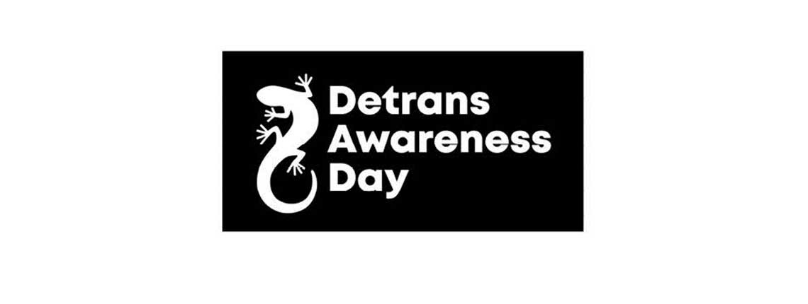 The first ever Detransition Awareness Day is today Friday 12th March