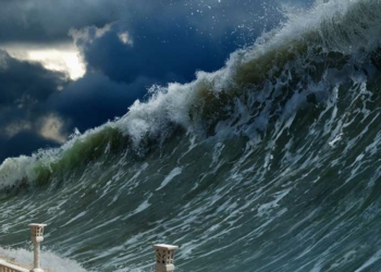 Tsunami Warning! Malcolm Clark on this Wednesday’s LGB Alliance panel discussion webinar on the worldwide wave of homophobia