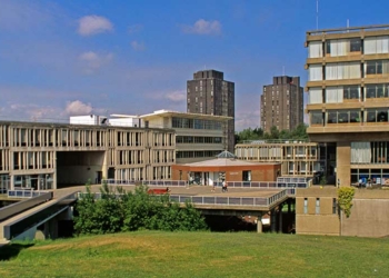 University of Essex apologise for “serious mistakes” in freedom of speech victory – and face questions as a Stonewall Diversity Champion