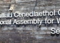 How will you vote in Wales? LGB Alliance Cymru report on the upcoming Senedd elections this Thursday 6th May