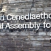 How will you vote in Wales? LGB Alliance Cymru report on the upcoming Senedd elections this Thursday 6th May