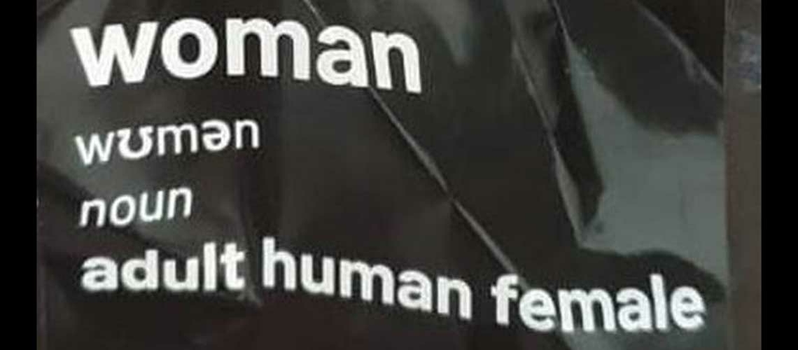 Jo Bartosch: The sticker panic over “mythical razor-blade wielding feminists” in Belfast and how Northern Ireland politicians have fallen hard for gender ideology
