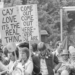Professional Judy: “Are we really going to legislate for something that has the potential to cause harm to generations of LGB people resulting in actual gay conversion therapy?”